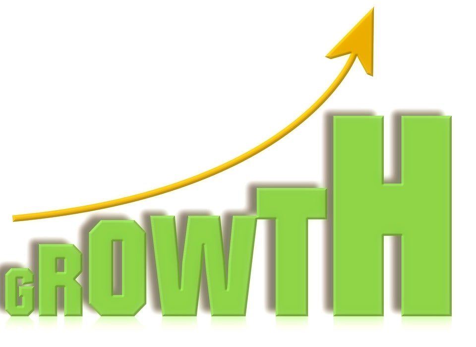 company growth