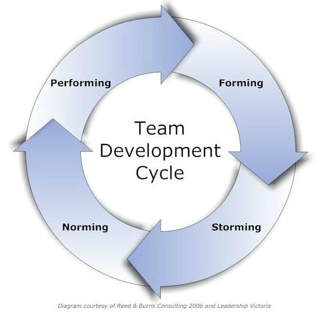 Bruce Tuckmans's model of team development