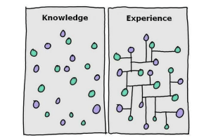 knowledge vs experiences 