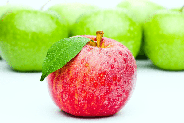 apple fruit