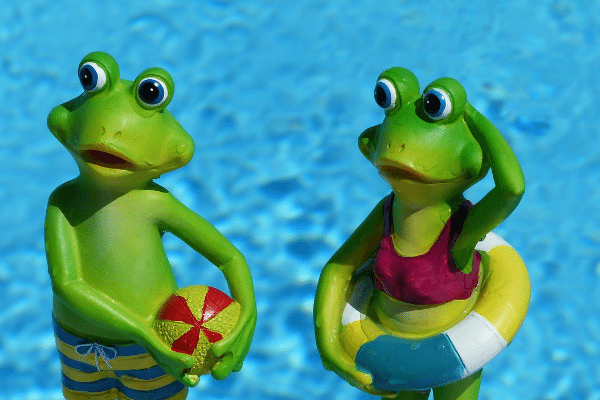 cartoon image of frogs playing in swimming pool
