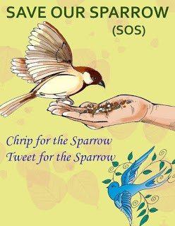 Save Our Sparrow