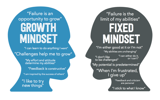 How To Nurture Growth Mindset In Your Organisation?