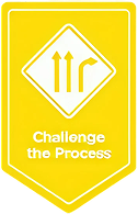 Challenge the Process